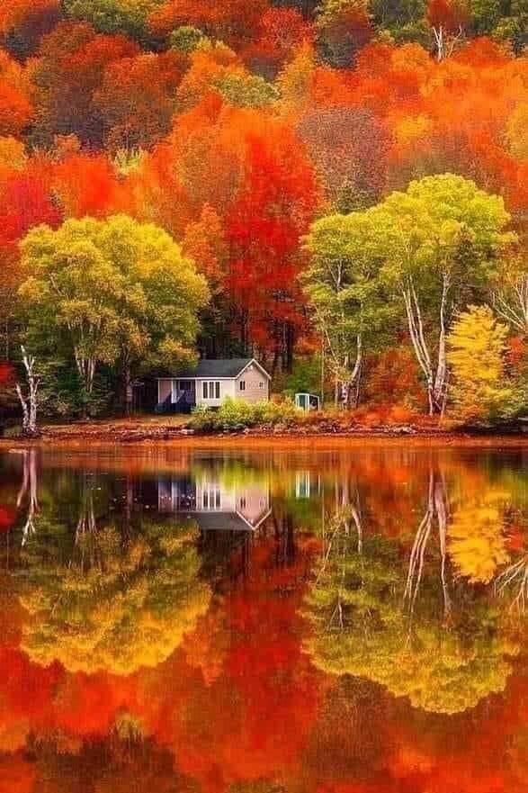 Our Sacred Planet Mother Earth in all of it’s Amazing Beauty and the Quote of the Day 215