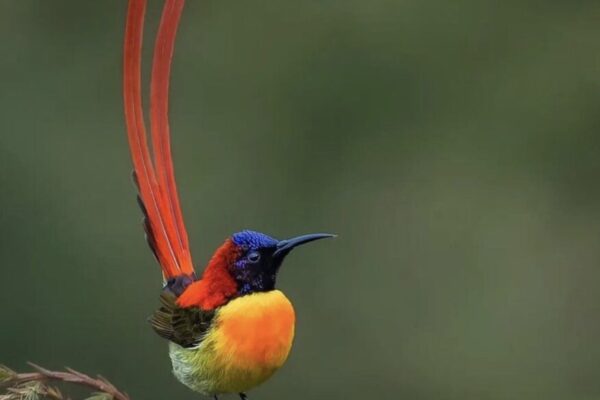Our Sacred Planet Mother Earth in all of it’s Amazing Beauty and the Quote of the Day 212