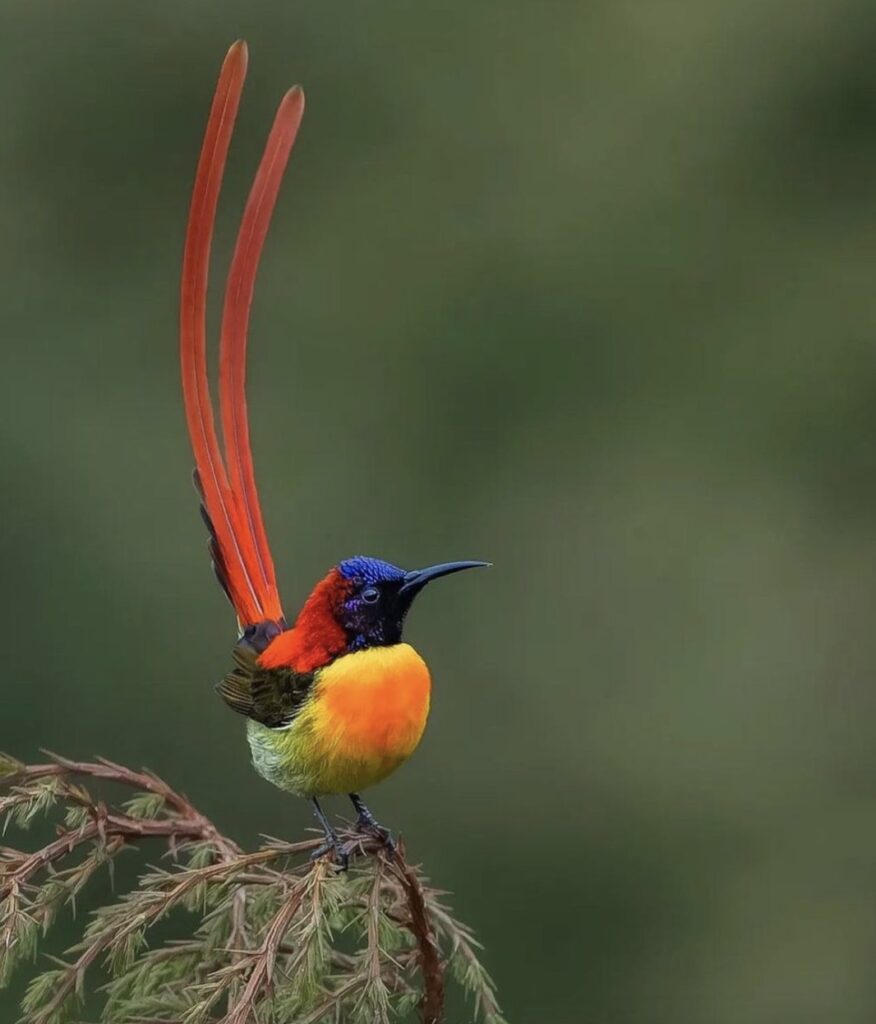 Our Sacred Planet Mother Earth in all of it’s Amazing Beauty and the Quote of the Day 212