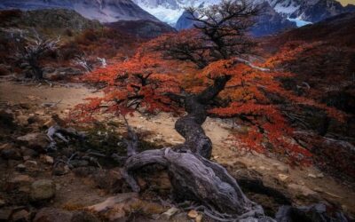 Our Sacred Planet Mother Earth in all of it’s Amazing Beauty and the Quote of the Day 208