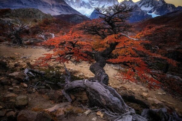 Our Sacred Planet Mother Earth in all of it’s Amazing Beauty and the Quote of the Day 208