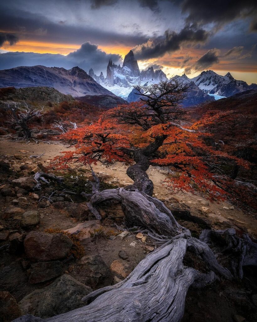 Our Sacred Planet Mother Earth in all of it’s Amazing Beauty and the Quote of the Day 208