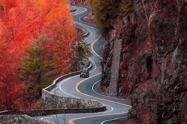 Our Sacred Planet Mother Earth in all of it’s Amazing Beauty and the Quote of the Day 217