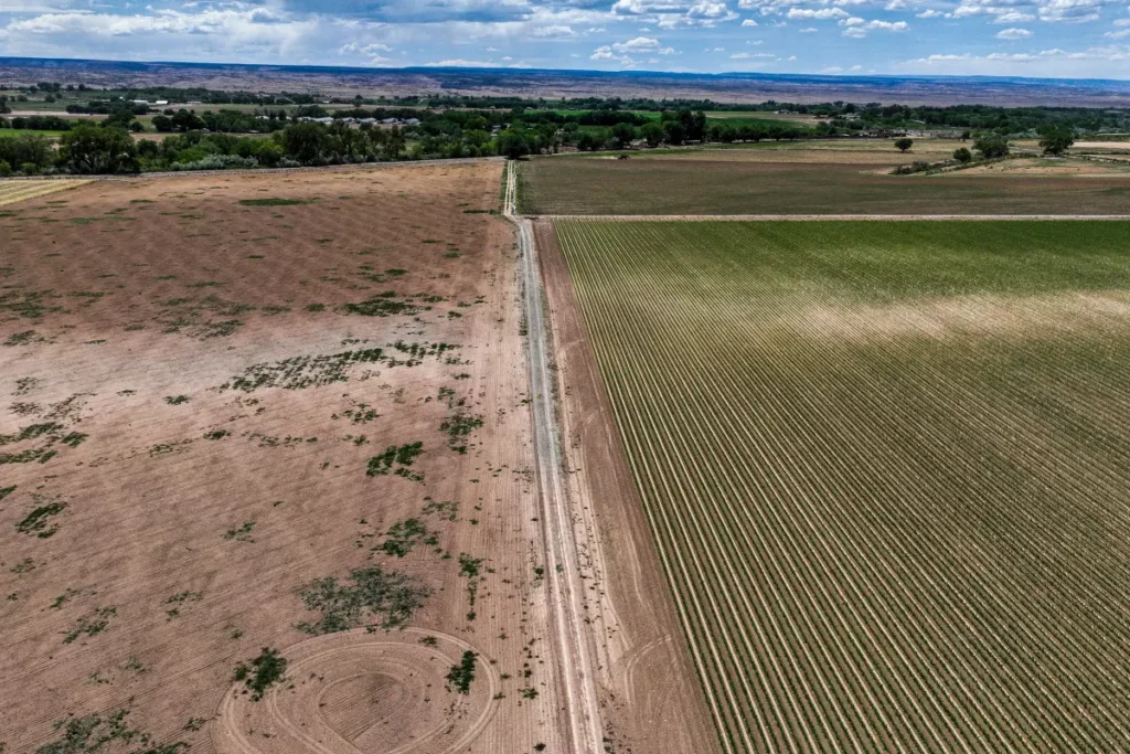awaken- left many fields unplanted this year because of water shortages.
