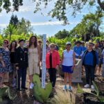 A Global Peace Pole Movement and a Peace Pole Planted in West Sacramento. A-Global-Peace-Pole-Movement-and-a-Peace-Pole-Planted-in-West-Sacramento