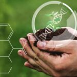You Can’t Patent a Trench: The Real Biotechnology the Green Revolution Forgot AdobeStock_gm-crops-scaled-1
