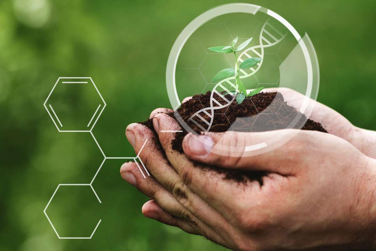 You Can’t Patent a Trench: The Real Biotechnology the Green Revolution Forgot