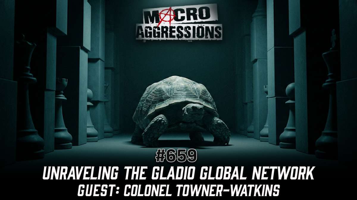 #657: Unraveling the Gladio Global Network | Colonel Towner-Watkins