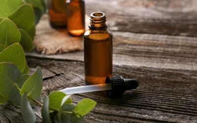 Using eucalyptus oil to repel household pests: what the experts say