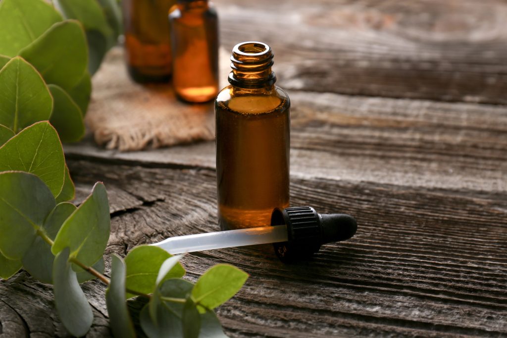 Using eucalyptus oil to repel household pests: what the experts say