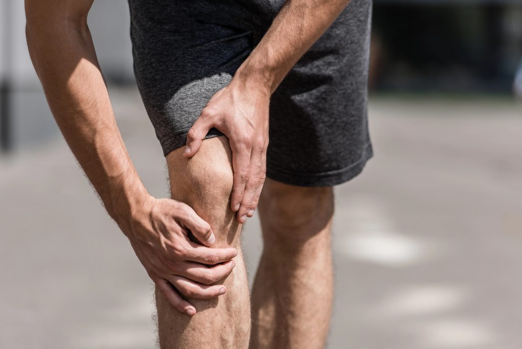 How blocking one protein regenerates knee cartilage in aging mice and human tissue
