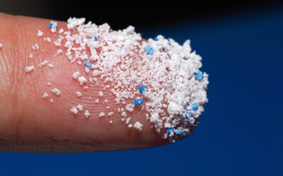 Reducing microplastic exposure: the four habits we should all be prioritizing