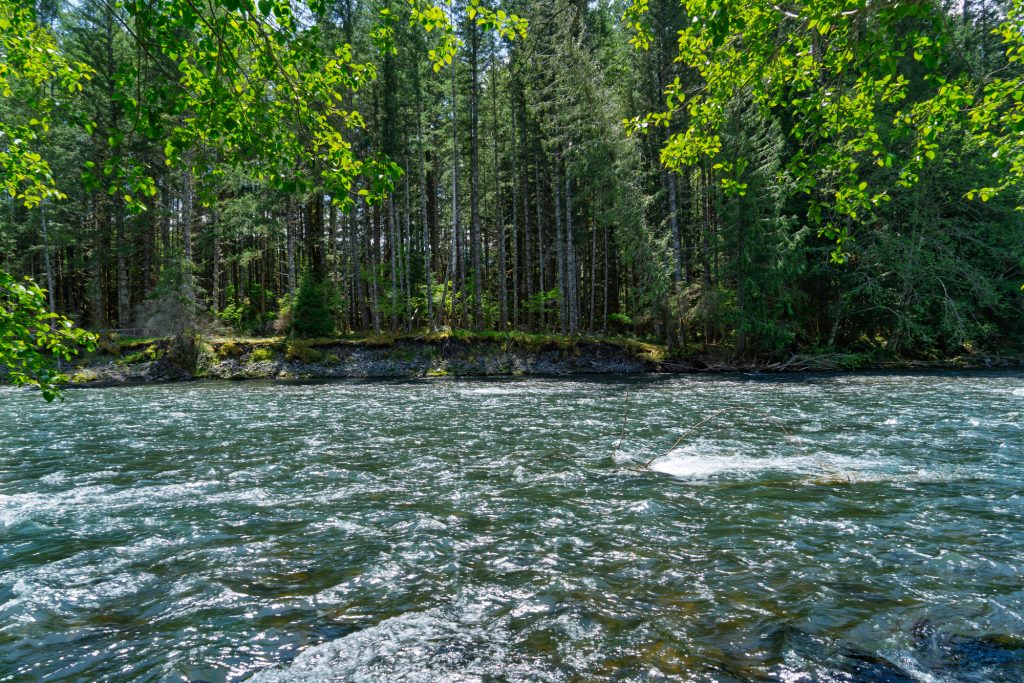 How environmental DNA turned river water into a global wildlife census