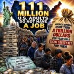 111 Million U.S. Adults Do Not Have A Job And America Spends More Than A Trillion Dollars Per Year On A Social Safety Net For Them Snip20260705_56-768x768-1