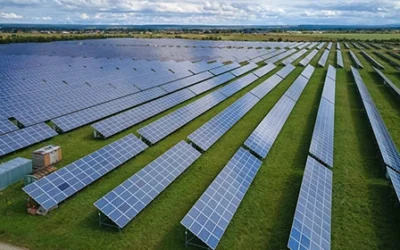 Top 20 U.S. States Leading in Renewable Energy Adoption