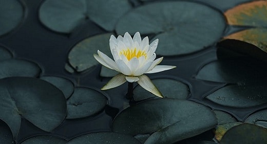 Why Is Non-Conformity Your Greatest Asset In These Strange Times?