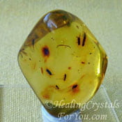 Amber Stone Balances Emotions And Releases Negativity