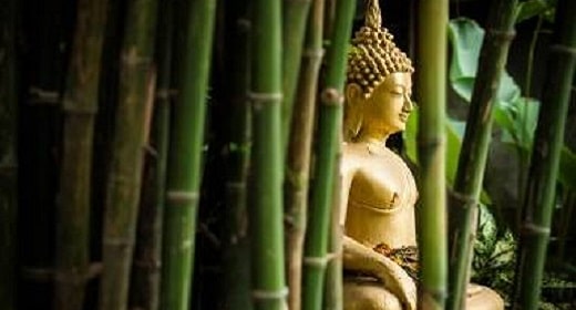 How The Buddha Gained Enlightenment
