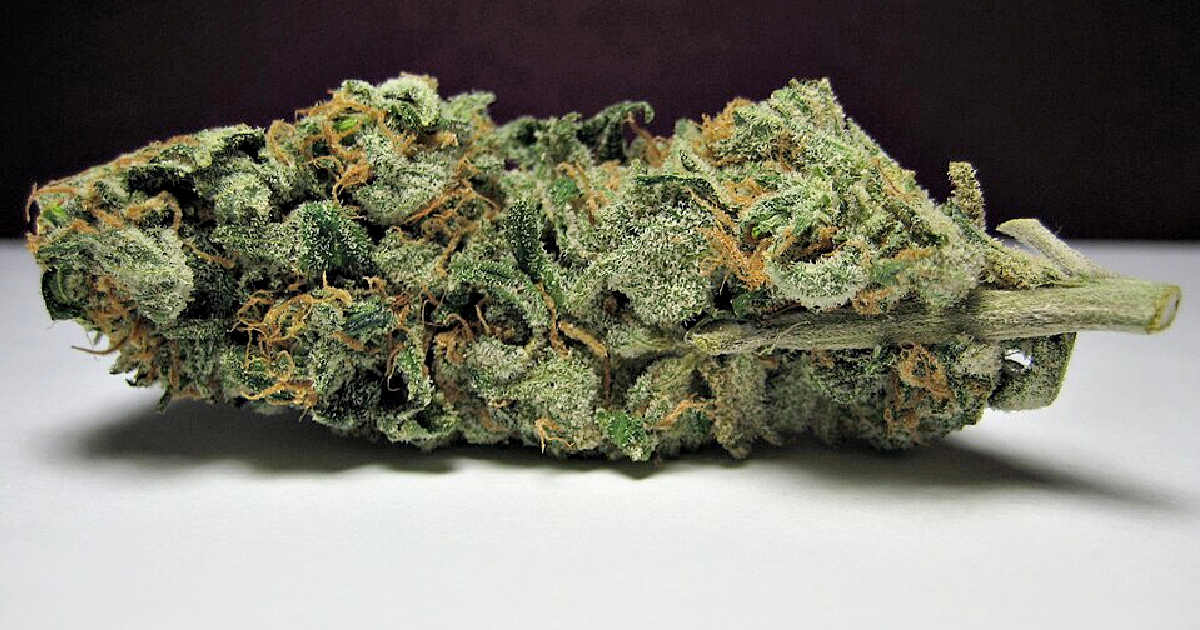 Trudeau Legalized Cannabis in Canada – and Now, Surplus Weed is Being Smuggled, Flooding the Port of Antwerp and ‘Turning Belgium Into a Narco State’