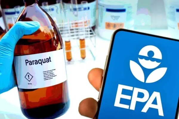 Supreme Court Decision on Roundup Weedkiller Highlights Another Dangerous Pesticide — Paraquat