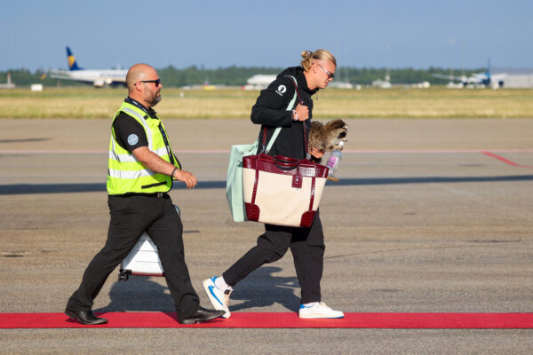 Erling Haaland Flew Home to Oslo from the World Cup Carrying a 0 Taxidermy Raccoon Holding a Bottle of Gin