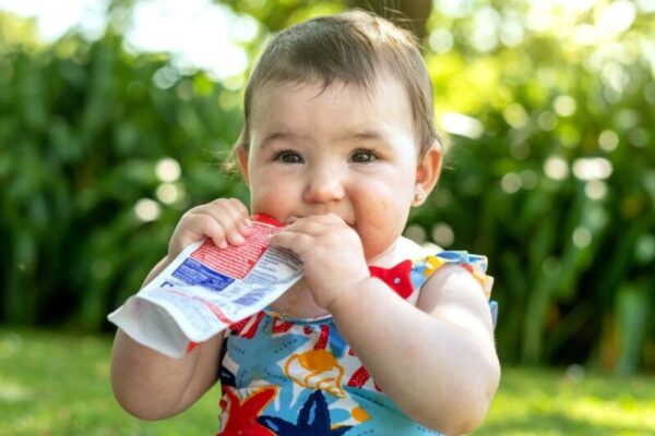 Single Pouch of Gerber Baby Food Contains About 5,000 Microplastic Particles