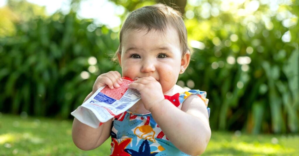 Single Pouch of Gerber Baby Food Contains About 5,000 Microplastic Particles