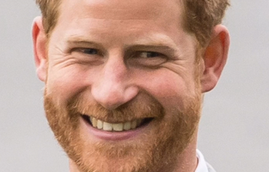 Prince Harry – still tilting at windmills