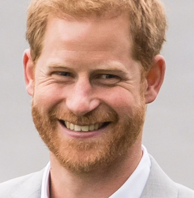 Prince Harry – still tilting at windmills