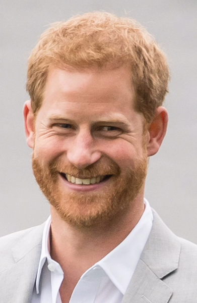 Prince Harry – still tilting at windmills