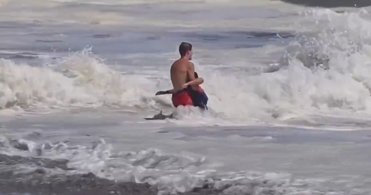 President Trump Announces He Will Bring Heroic Teen Lifeguard to White House and Award Him with High Civilian Honor