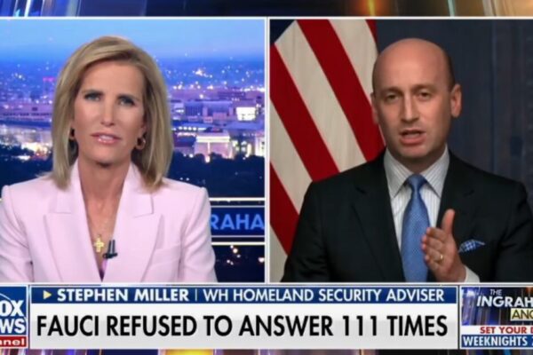 Stephen Miller Goes Off on Dr. Fauci After Explosive Senate Hearing (VIDEO)
