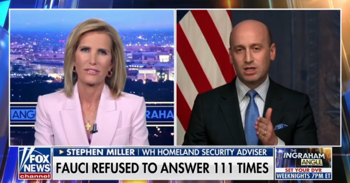 Stephen Miller Goes Off on Dr. Fauci After Explosive Senate Hearing (VIDEO)