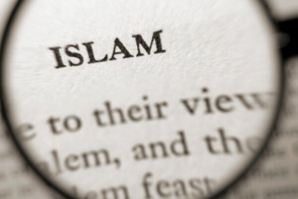 WATCH: Muslim Goes Viral Shouting, ‘This Is the Islamic Republic of New Yorkistan… Mamdani’s New York,’ Claims ‘Islam Will Be in Every Household’