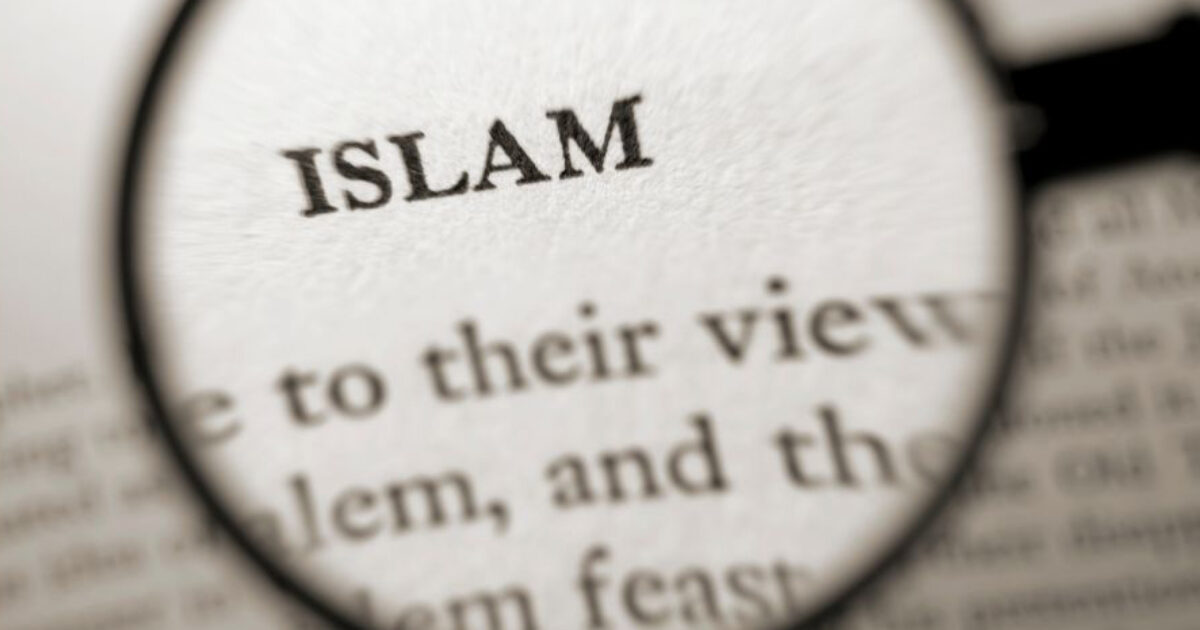 WATCH: Muslim Goes Viral Shouting, ‘This Is the Islamic Republic of New Yorkistan… Mamdani’s New York,’ Claims ‘Islam Will Be in Every Household’