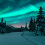 istockphoto-2166643582-612x612-1