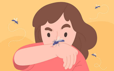 What Makes Mosquitoes More Likely to Bite You