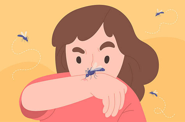 What Makes Mosquitoes More Likely to Bite You