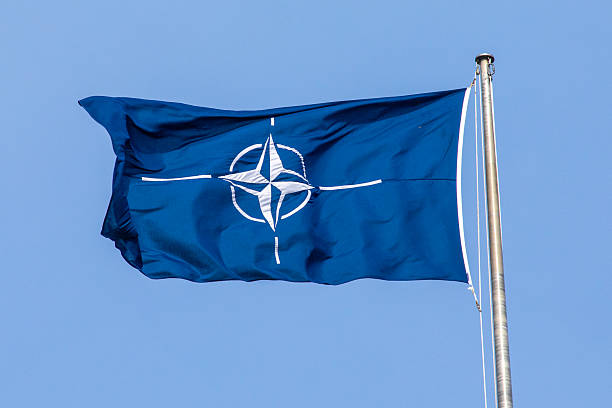 NATO’s Shadow Bank: Financing a New Era of Militarisation