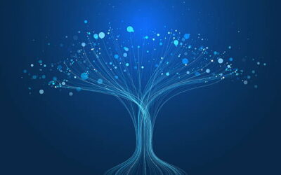 Roots