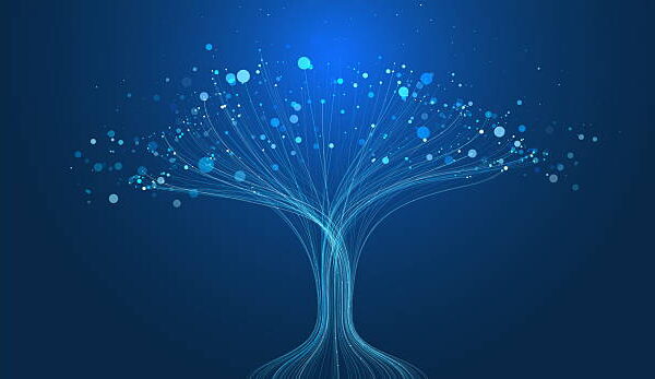Roots