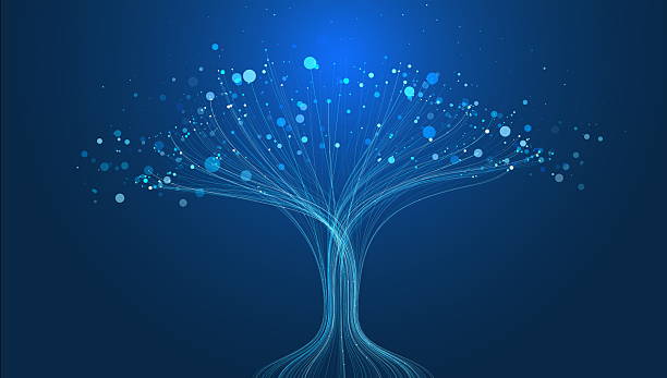Roots