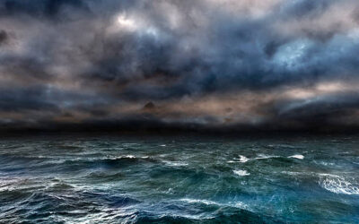 Sailing the Stormy Seas of AI