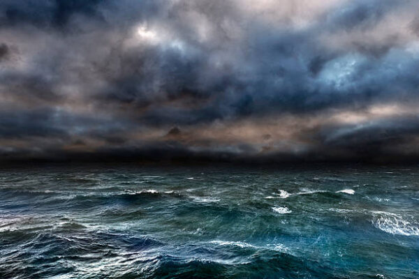 Sailing the Stormy Seas of AI