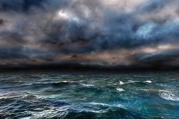 Sailing the Stormy Seas of AI