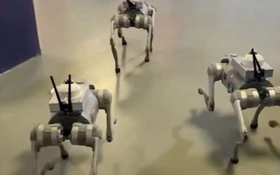 It’s A Race Between Revolutionary Consciousness And The Implementation Of Police Robots