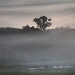 How The African Rainforest Is Helping Fight Climate Change p0c158zr