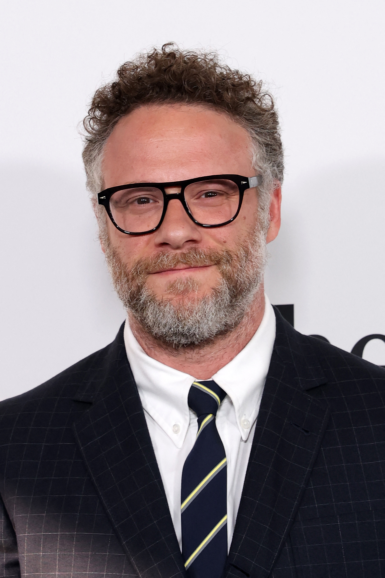 Seth Rogen wearing black-framed glasses, a dark plaid blazer, white shirt, and navy striped tie at a film premiere.