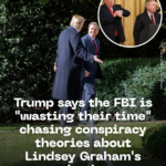 trump-says-the-fbi-is-wasting-their-time-chasing-conspiracy-theories-about-linds-2