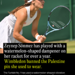 wimbledon-banned-zeynep-sonmez-s-palestine-flag-but-her-watermelon-dampener-stay-2